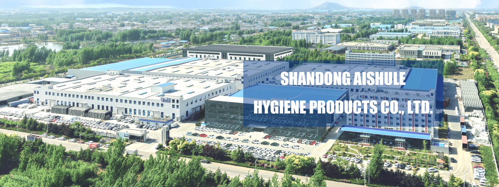 quality Adult Disposable Diaper factory