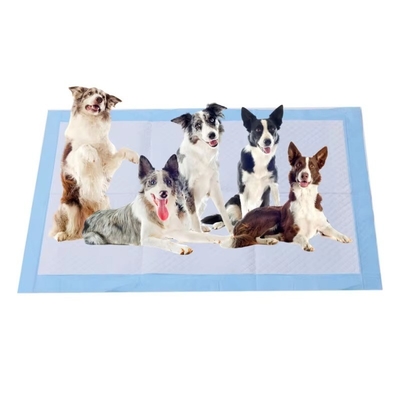 Good price Comfortable Touch Disposable Pet Pads Anti Slip Disposable Dog Potty Pads Wholesale online
