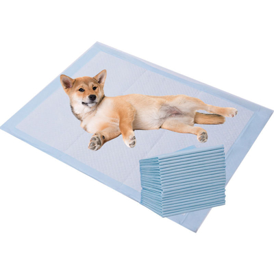 Good price Degradable Non Woven Pet Pee Pads Super Absorbent Disposable Pet Mats Odor Control online
