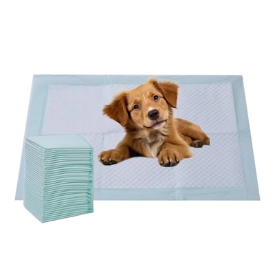 İyi bir fiyat. Tek kullanımlık süper emici köpek yavrusu eğitim yastıkları büyük köpekler için özel çiş yastığı çevrimiçi