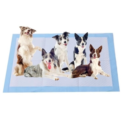 Good price Disposable Puppy Training Mats Dog Pee Pads Rapid Absorption 45x60cm 60x60cm 60x90cm online