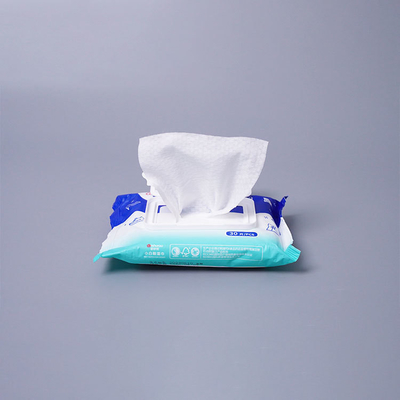 Good price Disposable Cleaning Wet Wipes For White Shoes 30pcs/Bag Customized Logo online